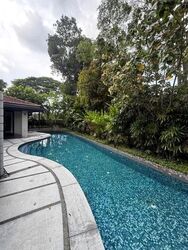 Chatsworth Park (D10), Detached #619392181